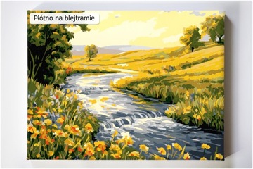 Польская картина после номеров Strumień Potok West 50x40