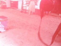 фото thumb №6, Renault scenic iii lift двері правий перед tennj