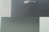 фото thumb №12, Двері правий перед opel astra j