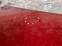 фото thumb №6, Кришка зад кришка багажника bmw e87 рестайлінг купе sedan e82 лак: a79