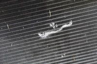 фото thumb №5, Радиатор вентилятор jeep grand cherokee wk