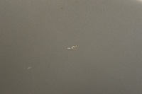 фото thumb №5, Капот крышка двигателя песчаный ford galaxy mk1 1 i lift 00-06