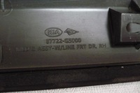 фото thumb №14, Kia niro i 2016- молдинг дверь правая перед