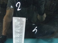 фото thumb №14, Дверь задняя левая volvo s60 ii 10-18 019-26