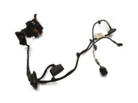 фото thumb №1, Жгут электропроводка дверь правый задняя vw passat b6 3c4971694