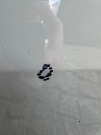 фото thumb №13, Дверь правое передние правое задние kombi skoda superb 3 iii 3v 2015-