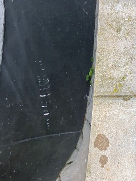 фото thumb №11, Hyundai ioniq 5 бампер переднє чорний mzh комплектний 6 датчиків камера