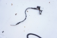 фото thumb №1, Клема мінусова 37180-3w100 kia sportage 3 iii