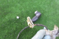 фото thumb №5, Датчик електропроводка pdc датчики kpl задня maserati quattroporte vi