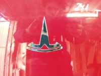 Tesla 3 3 капот кришка двигуна перед 2017- в Україні, фото thumb