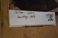 фото thumb №4, Idealna полка задняя bentley 3sd 1