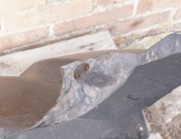 фото thumb №6, Подкрылок левая передние fiat bravo 2 ii 51757498