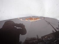 фото thumb №11, Toyota camry viii 17- капот крышка двигателя