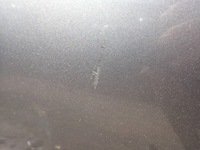 фото thumb №6, Двері ліва задня задні kia carens iv im повний