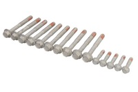 фото thumb №1, Набір гвинт головки циліндрів mahle gs33449