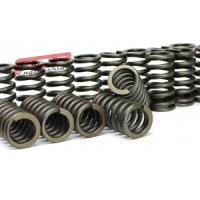 Купити Пружини клапанні racing audi ttrs 2.5 20v tfsi ea855 daza, фото thumb
