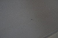 фото thumb №8, Bmw 3 f30 крышка багажника багажника b39