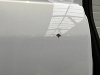 фото thumb №6, Двері лівий задня задні ford transit connect ii 2