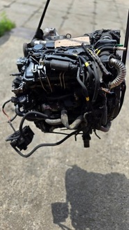 фото thumb №6, Двигатель 9hx 9hz 9h01 9h02 citroen berlingo 1.6hdi