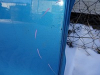 фото thumb №15, Citroen c3 picasso дверь правое правый задняя