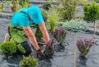 Черная агроткань 50 г GF Agro для борьбы с сорняками противосорняковая ткань 1 1 30 м