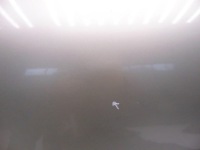 фото thumb №6, Двері праве правий задня jaguar xf i x250 sedan золотий