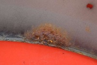 фото thumb №15, Крило лівий перед переднє чорний toyota hilux 7 vii рестайлінг 05-15