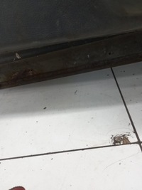 фото thumb №14, Дверь левый перед peugeot expert ii exyb