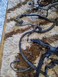 фото thumb №5, Жгут двигателя opel zafira a 2.2 дизель