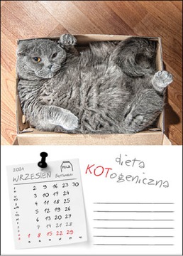 Настенный календарь 2024 Кошки на работе Кошки Кошки