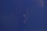 фото thumb №8, Дверь правое перед передние niebieskie honda jazz 3 iii 08-15