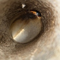 Corsa d opc 1.6 turbo воздухозаборник труба впускной шланг gm55559299 Цена, фото thumb