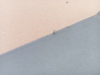 фото thumb №7, Ford puma mk2 19- накладка спойлер бампера перед l1tb-17f771-a