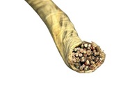 фото thumb №13, Жгут кабели audi a8 d2 4d2, 4d8 1928402199 4.2l бензиновый 250kw 1998