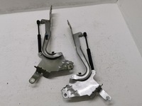 фото thumb №3, Петли капот renault scenic iii 654010004r 08-16