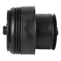 фото thumb №5, Сумка пневматична заднього підвіска