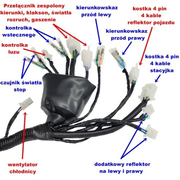 Instalacja Elektryczna Wiązka Atv Quad Bashan Barton Warrior Eagle SCHEMAT