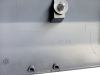 фото thumb №13, Vivaro 19-23 планка двері перед права лак