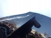 фото thumb №6, Volvo s80 ii v70 iii 07-16 капот крышка двигателя