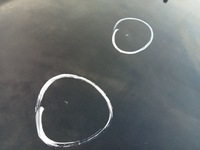 фото thumb №8, Ford b-max 2012-17r. - дверь левый перед