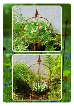 Podpora do roślin pnących obejma piwonii RÓŻ PERGOLA okrągła 60cm obelisk