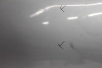 фото thumb №7, Дверь правый перед ford c-max kol. z3 06-10