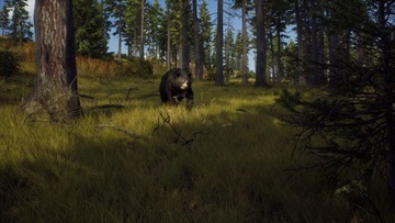 Путь охотника Xbox серии X