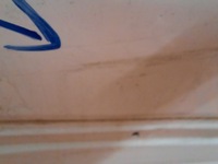 фото thumb №6, Toyota c-hr 16-20 crossover двері перед передні праве