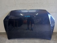 Купить Капот vw sportsvan 510, фото thumb