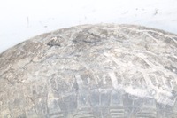 фото thumb №13, Комплект диск land rover freelander 2 l359 23560r18 2.2l дизель 118kw 2010