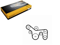 фото thumb №1, Набор ремни многоручейковых с ролики ford focus i tourneo connect