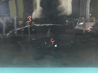 фото thumb №10, Двері задня ліва citroen c5 iii x7 kombi чорний ktvd