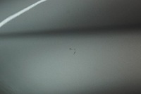 фото thumb №9, Крила лівий перед vw golf v kombi