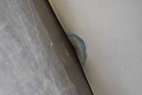 фото thumb №6, Кришка багажника зад задня 6m hyundai santa fe 2 ii 06-10